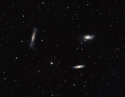 Leo Trio